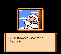 NES Screenshots