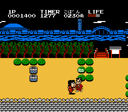 NES Screenshots