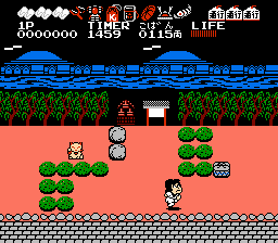 NES Screenshots