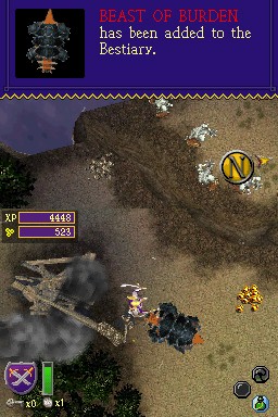 DS Screenshots
