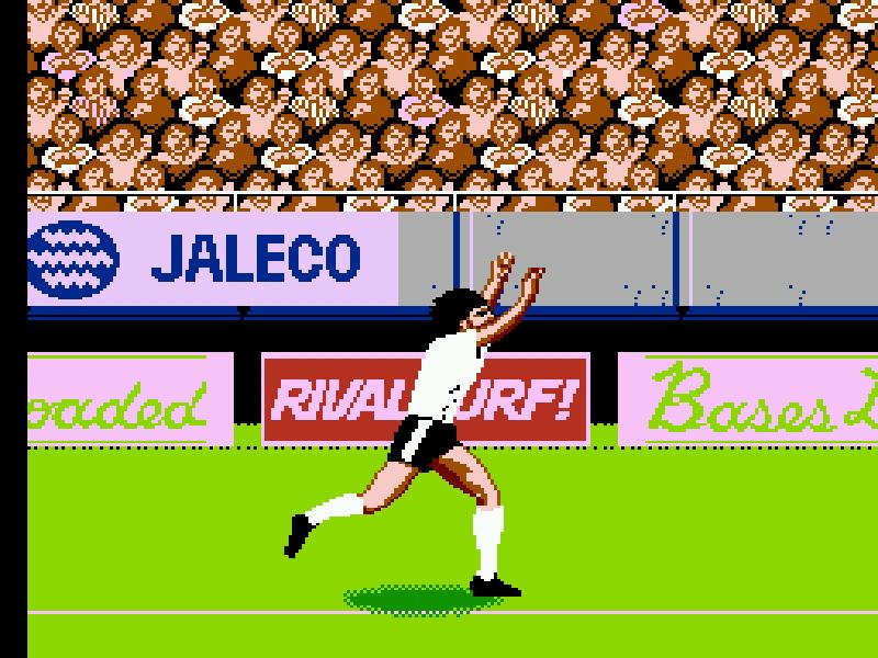 NES Screenshots