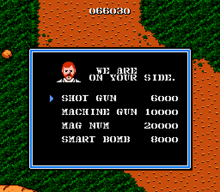 NES Screenshots