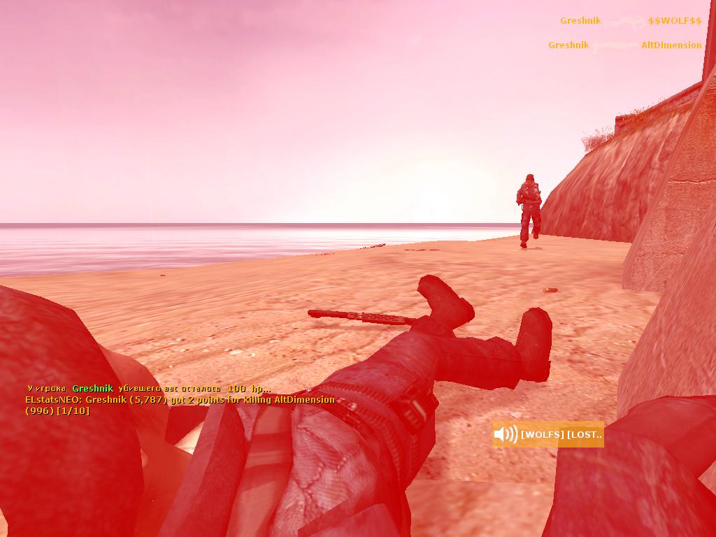 Half Life 2: Deathmatch