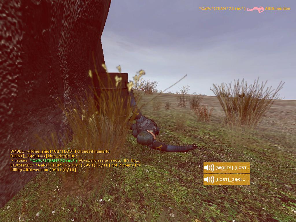 Half Life 2: Deathmatch