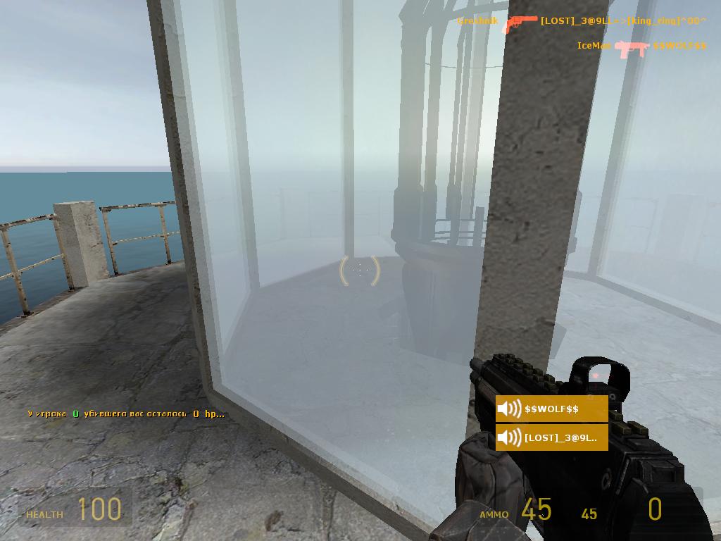 Half Life 2: Deathmatch