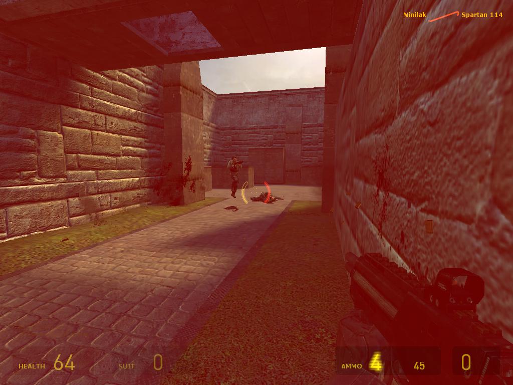 Half Life 2: Deathmatch