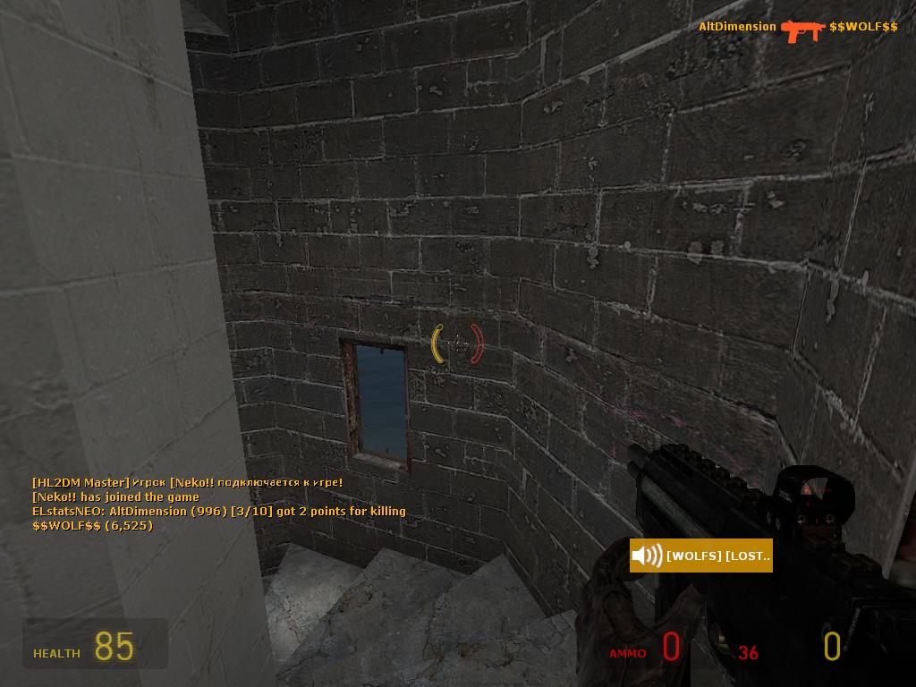 Half Life 2: Deathmatch