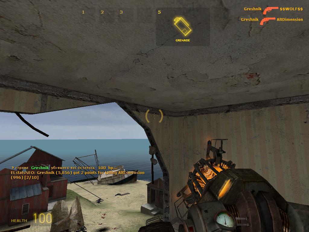 Half Life 2: Deathmatch
