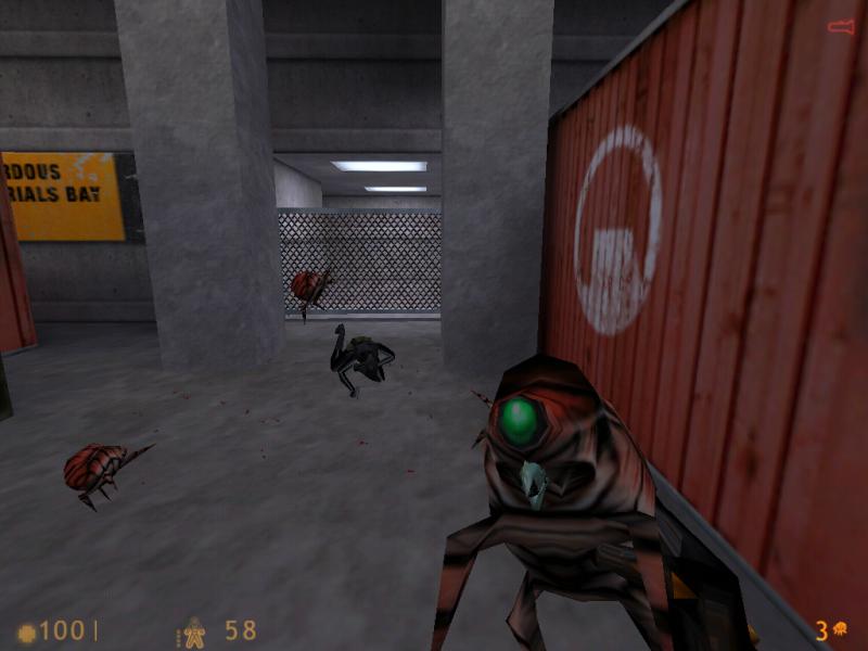 Half-Life