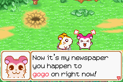Hamtaro: Ham-Ham Heartbreak
