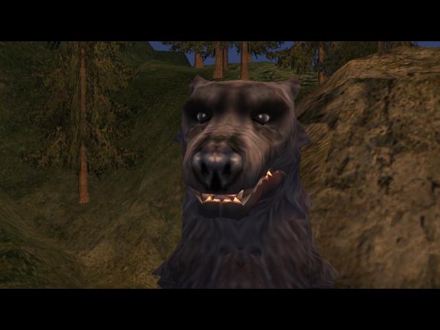 PC Screenshots