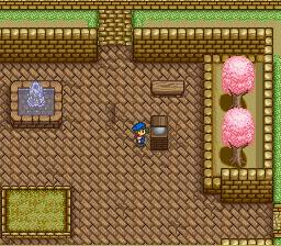 SNES Screenshots