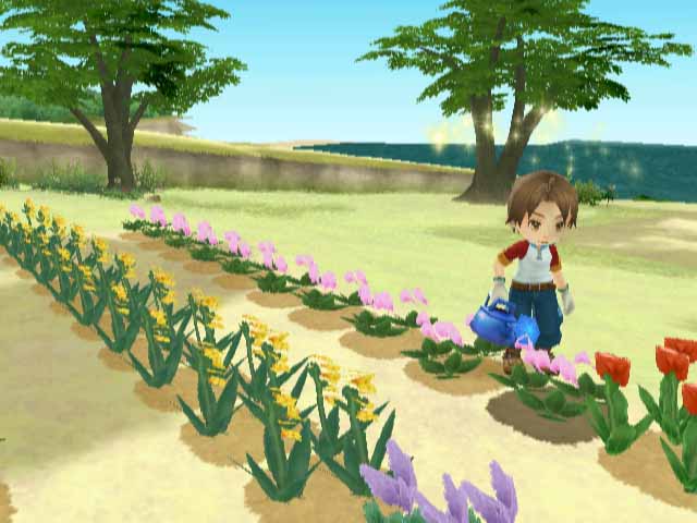 WII Screenshots
