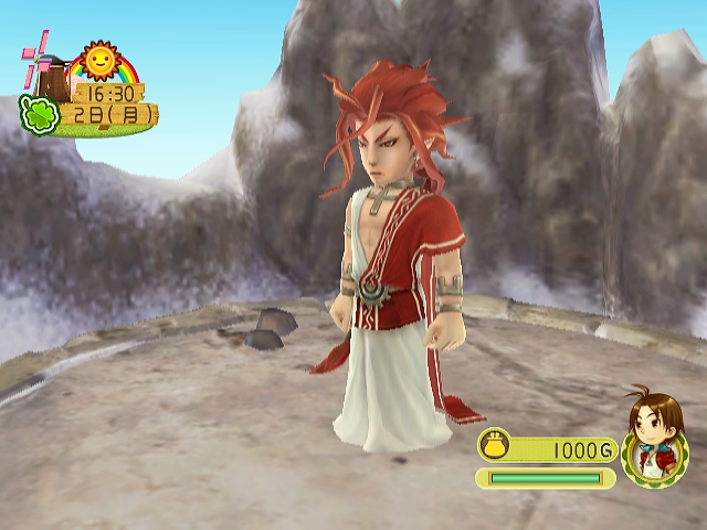 WII Screenshots