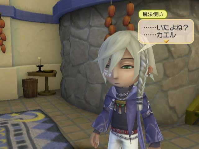 WII Screenshots