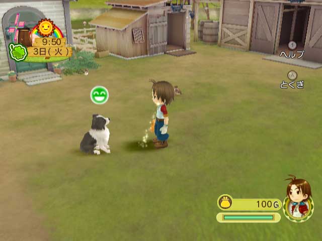 WII Screenshots