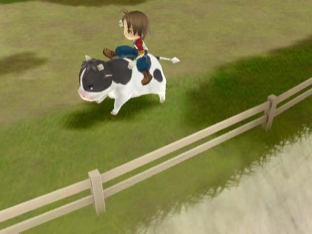 WII Screenshots