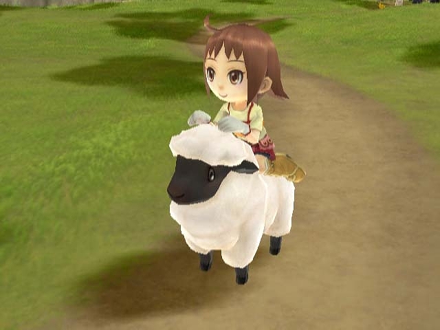 WII Screenshots