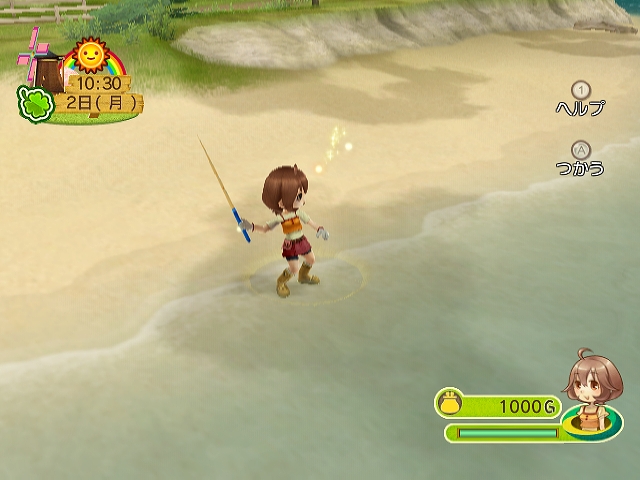 WII Screenshots