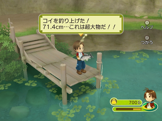 WII Screenshots
