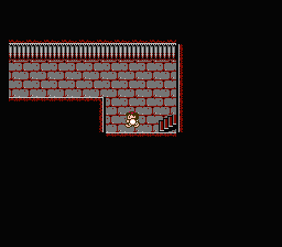 NES Screenshots