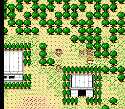 NES Screenshots