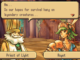 DS Screenshots