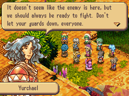DS Screenshots