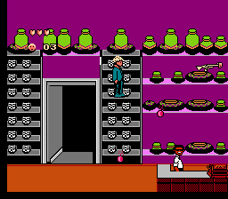 NES Screenshots