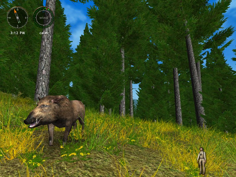 Screenshots