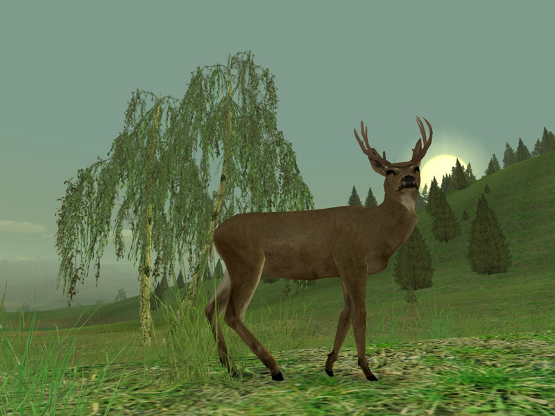 Hunting Unlimited 3