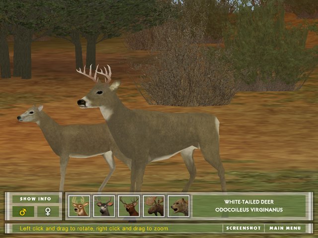 Screenshots