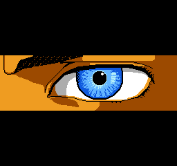 NES Screenshots