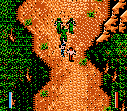NES Screenshots
