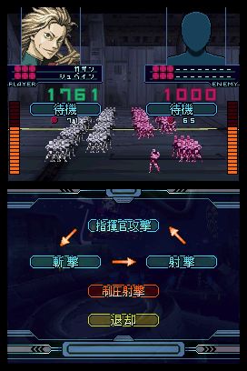 DS Screenshots
