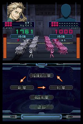 DS Screenshots