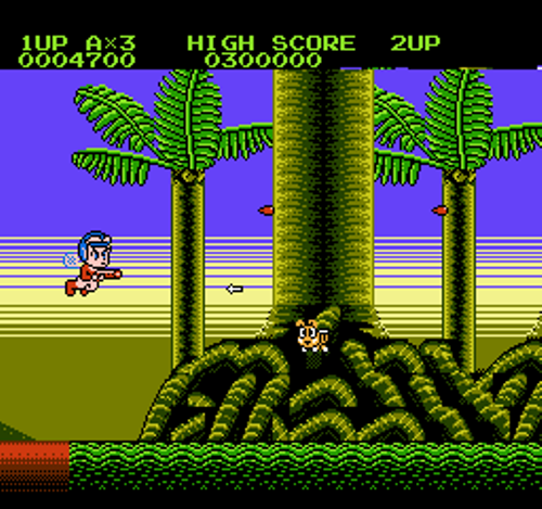 NES Screenshots