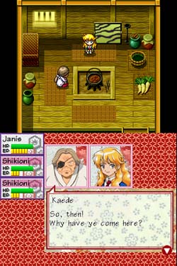 DS Screenshots
