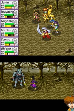 DS Screenshots