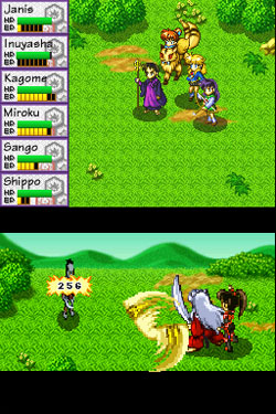 DS Screenshots