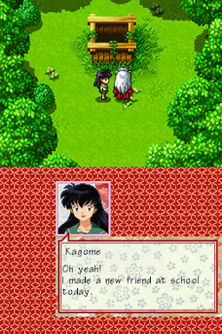 DS Screenshots