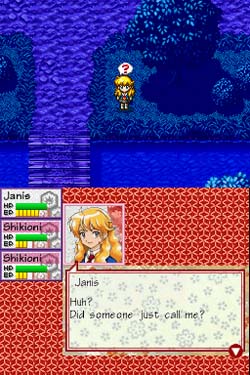 DS Screenshots