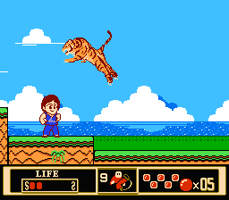 NES Screenshots
