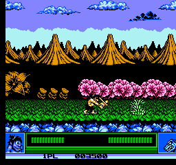 NES Screenshots