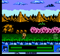 NES Screenshots