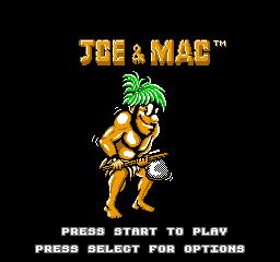 NES Screenshots