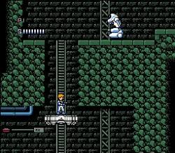 NES Screenshots