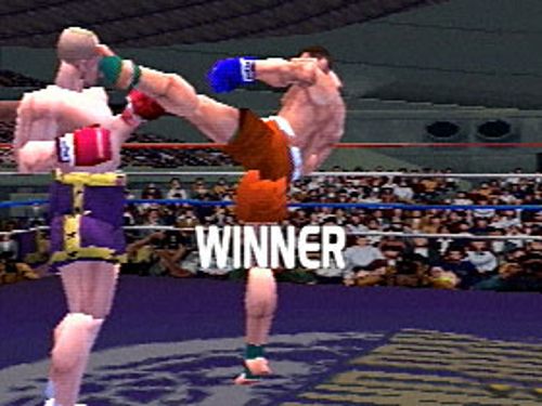 K-1 The Arena Fighters