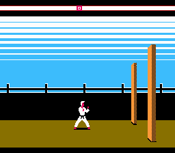 NES Screenshots