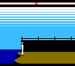 NES Screenshots